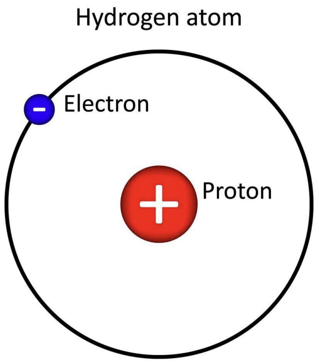 <p>Hydrogen atom </p>