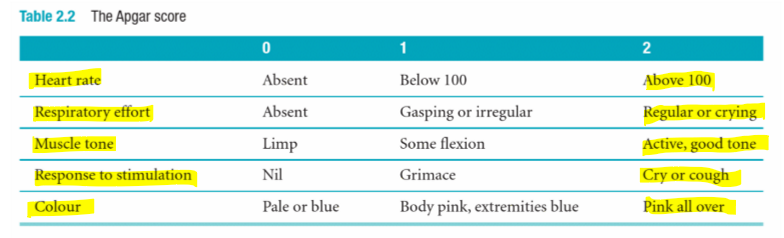 <p>Universally scored system for assessing a baby’s health right after birth</p><p>1 and 5 mins</p><p>7 or more is normal</p>