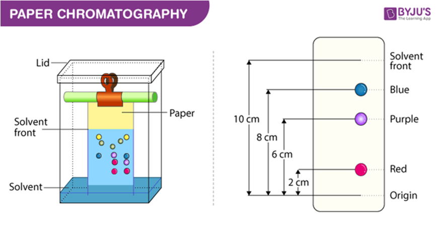 <p>relies on how “sticky” material is to a static medium (resin, paper) → separates components of mixture</p>