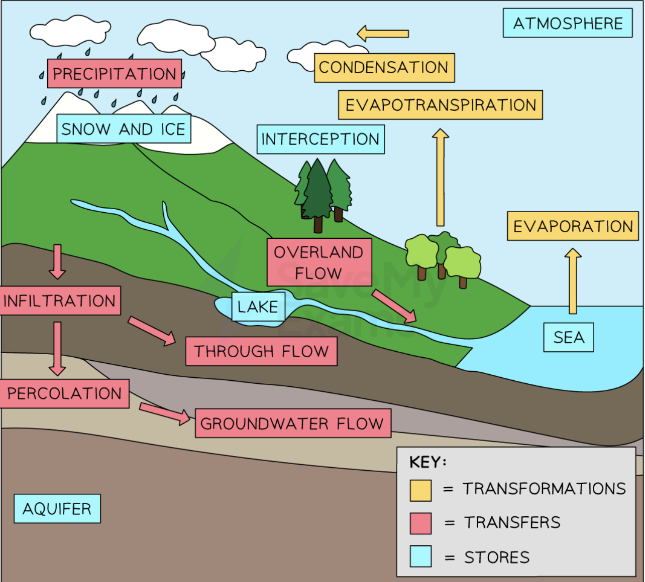 <ul><li><p>The Sun's heat causes waterto evaporate from oceans, lakes, and rivers</p></li><li><p>Water vapour cools and condenses into clouds, releasing heat</p></li><li><p>Gravity pulls condensed water back to Earth via the process of precipitation (rain,</p></li><li><p>snow, sleet, or hail).</p></li><li><p>Gravity causes waterto flow over land into rivers and streams (runoff) and drain</p></li><li><p>through soil</p></li><li><p>Rivers flow downhill due to gravity, moving waterfrom inland back to the oceans</p></li></ul><p></p>