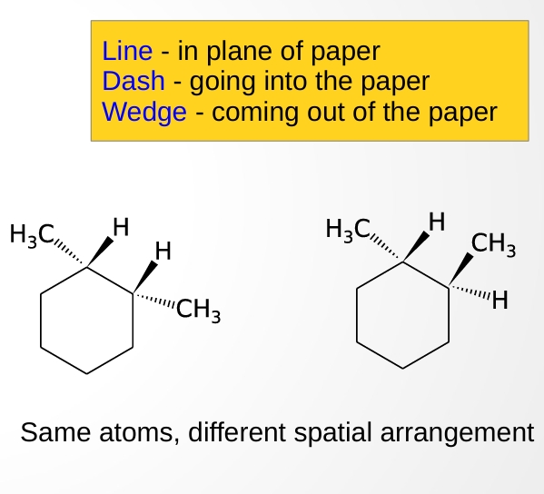 <p>A three-dimensional representation of molecular structure: solid lines lie in the plane of the page, wedged lines point forward toward the viewer, and dashed lines point backward away from the viewer.</p>