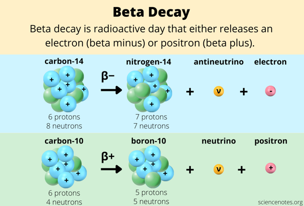 <p>β+ and β– decay</p>