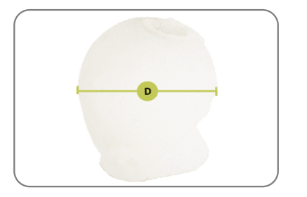 <p>the highest part of the thighbone (femur), acting as a smooth, spherical ball that fits into the pelvic socket to form the hip joint</p>