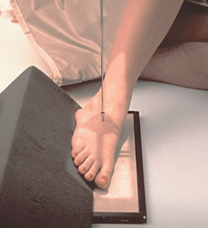 <p>projection?</p>