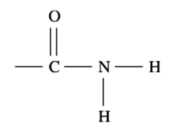 <p><span style="background-color: inherit; line-height: 20.7px; color: windowtext;"><strong>Amides</strong> are organic compounds that contain the amide functional group (–CONH₂)&nbsp;</span><span style="line-height: 20.7px; color: windowtext;">&nbsp;</span></p><ul><li><p class="Paragraph SCXO65800210 BCX0" style="text-align: left;"><span style="background-color: inherit; line-height: 20.7px; color: windowtext;">Which includes a carbonyl group (C = O) attached to an amino FG – similar to carboxyl groups except replace the –OH with the –NH2</span><span style="line-height: 20.7px; color: windowtext;">&nbsp;</span></p></li></ul><p class="Paragraph SCXO65800210 BCX0" style="text-align: left;"></p><ul><li><p class="Paragraph SCXO65800210 BCX0" style="text-align: left;"><span style="background-color: inherit; line-height: 20.7px; color: windowtext;"><strong>Primary amide</strong> organic compound that contains an amide functional group at a terminal carbon atom (−CONH2)</span><span style="line-height: 20.7px; color: windowtext;">&nbsp;</span></p></li></ul><p></p>
