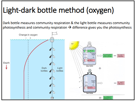 <p>light-dark bottle method (oxygen) → dark bottle measures community respiration and the light bottle measures community photosynthesis and community respiration → the different between the two bottles gives you the measure of photosynthesis </p>