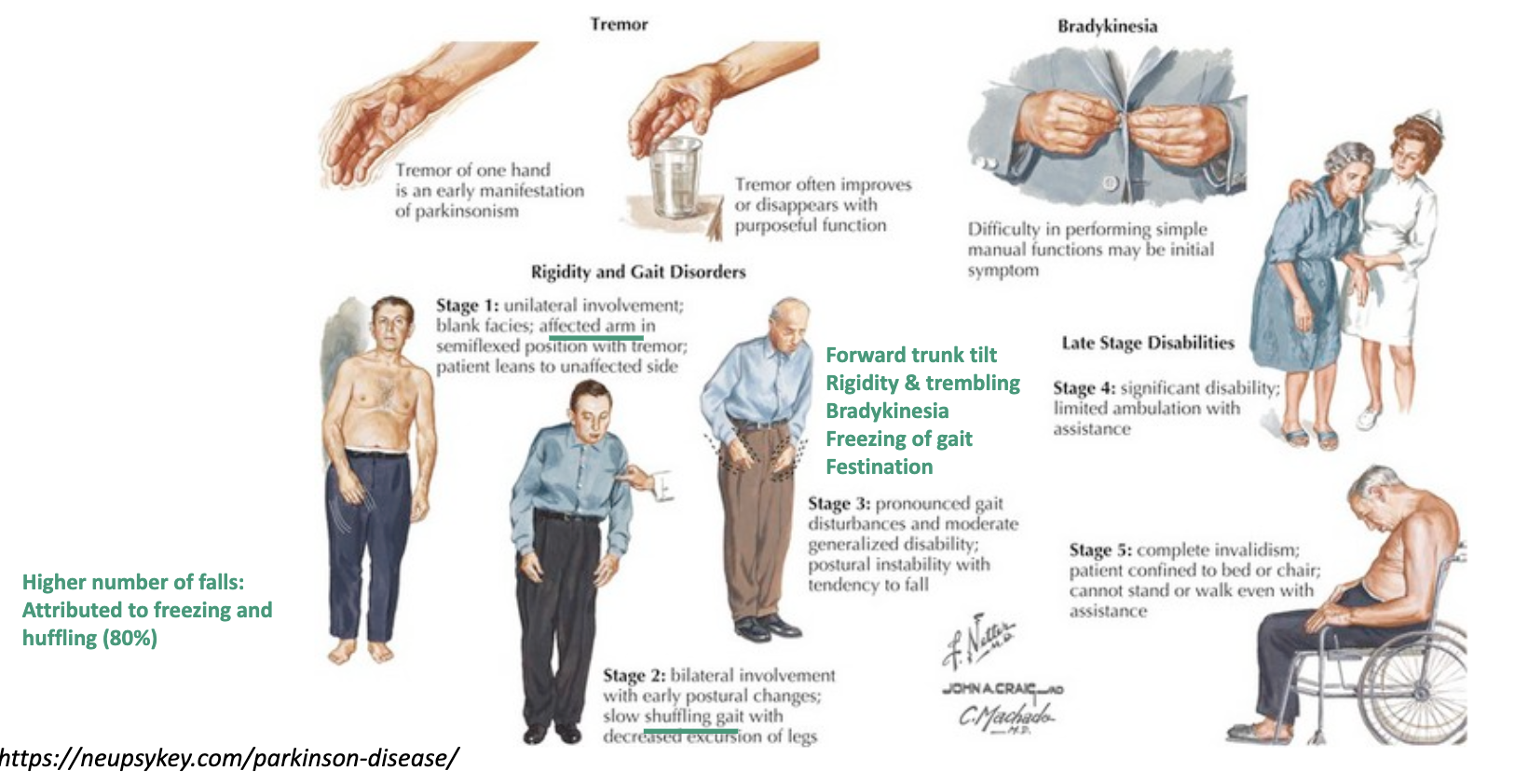 <p>• White matter hyperintensities</p><p>• Brain atrophy</p><p>• Small vessel disease</p><p>• Cerebral infarcts</p><p>• Lewy Bodies</p><p>• Neuritic</p><p>• Neurofibrillary tangles</p>