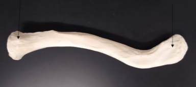 <p>What is this flat end?</p>