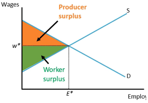 <ul><li><p><span style="background-color: transparent;">Producer surplus - if E* is 10, then the first 9 workers have a value of marginal product higher than w*.</span></p></li><li><p><span style="background-color: transparent;">Worker surplus - w* being higher than the reservation wage</span></p></li><li><p><span style="background-color: transparent;">Wage pressures will always bring the wage back to equilibrium.</span></p></li></ul><p></p>