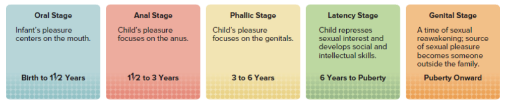 <p>We go through the five stages of psychosexual development: oral, anal, phallic, latency, and genital. How we resolve conflicts and sources of pleasure in each stage determines our adult personality.</p>