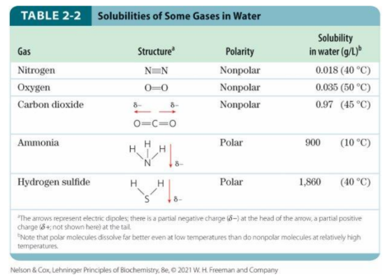 <p><strong><u>Water interacts with Nonpolar Biomolecules</u></strong></p><ul><li><p><strong>Non-polar biomolecules</strong> are poorly ____ in water. </p></li><li><p>Biologically important gases CO2, O2, N2 are <span style="color: blue;"><strong>nonpolar</strong></span></p></li></ul><p></p>