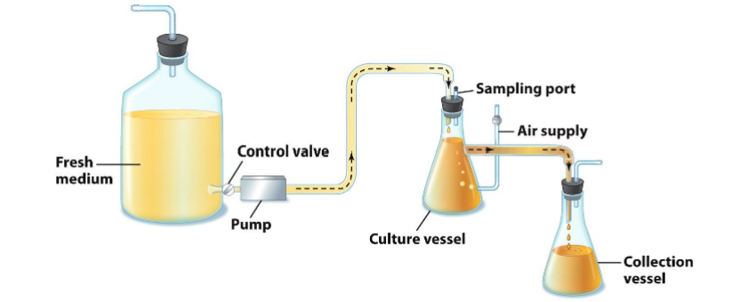 <ul><li><p>A continuous culture </p><ul><li><p>Nutrients added; waste removed</p></li><li><p>Dilution rate must be balanced with growth rate</p></li><li><p>indefinite exponential phase</p></li><li><p>e.g. human gut</p></li></ul></li></ul><p></p>