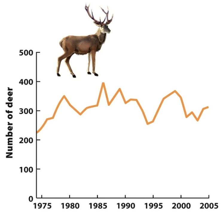 <p>population fluctuations</p><p>Over 30 years, population of red deer on Isle of Rum in Scotland as remained relatively stable </p>