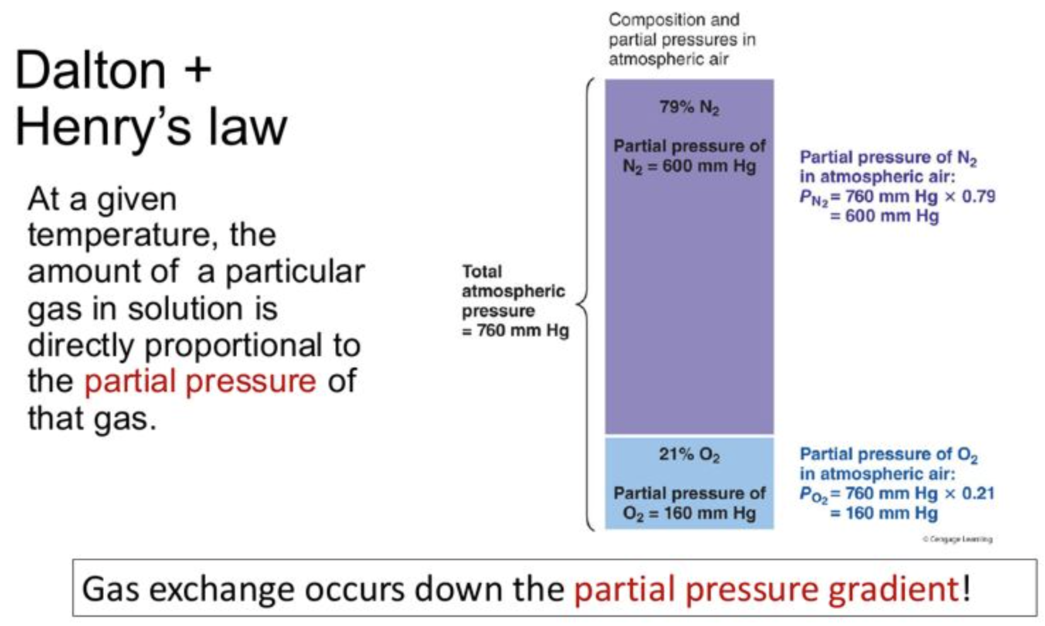 <p>The amount of gas that dissolves a liquid is directly proportional to the partial pressure of that gas above the liquid. </p>