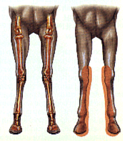 <p>what is this an image of</p>