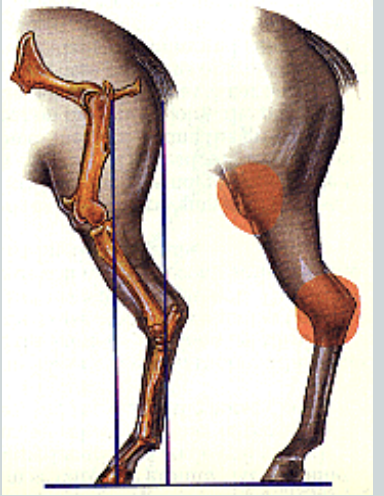 <p>what is this an image of</p>