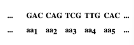 <p>The coding ratio. Given that there are four</p><p>different bases, what is the minimum number of</p><p>nucleotides per amino acid required to specify all</p><p>20 amino acids ? </p>