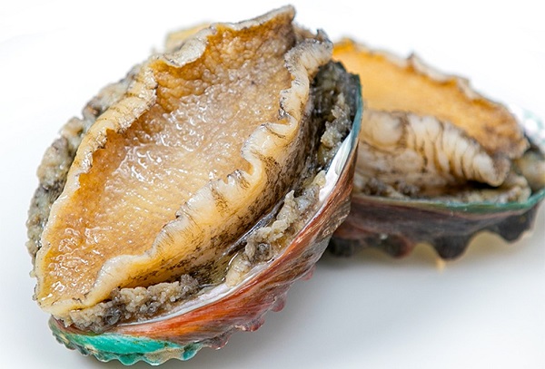 <p>abalone [<span><span>ˌæbəˈləʊni]</span></span></p>