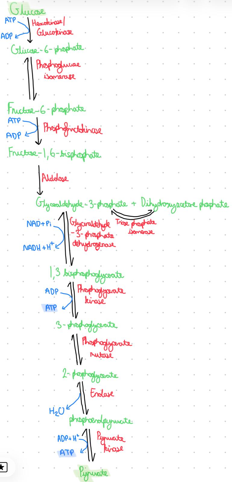 knowt flashcard image