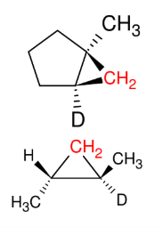 <ul><li><p><span style="color: yellow;"><strong>add CH<sub>2</sub></strong></span><sub> </sub>only</p></li><li><p>syn</p></li></ul><p></p>