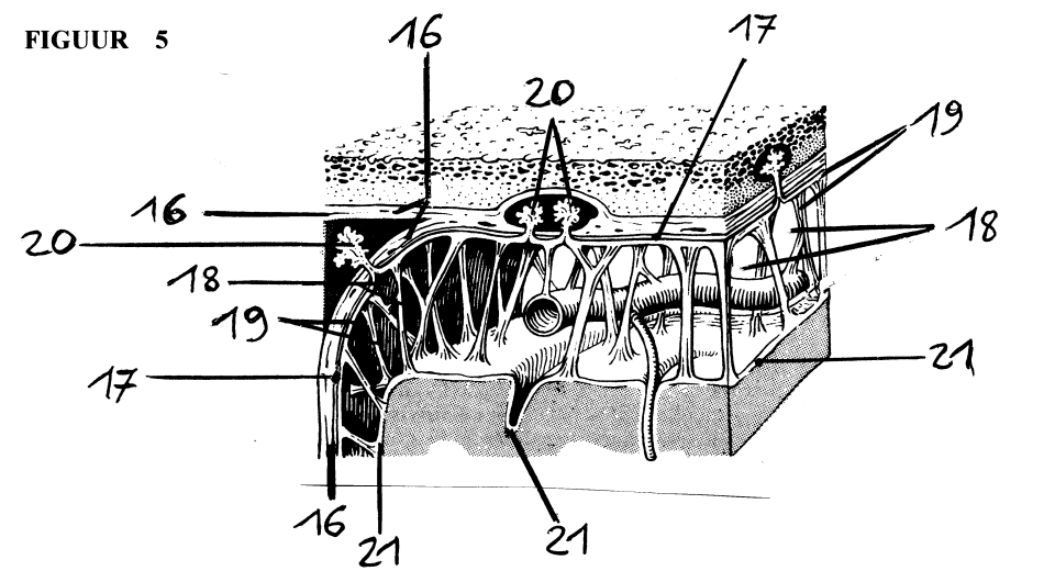 <p>16</p>