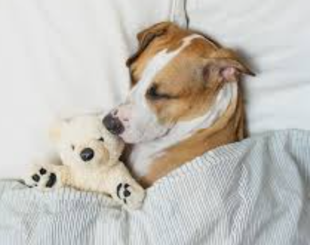 <p>PROMPT INTERMISSION SLIDE</p>