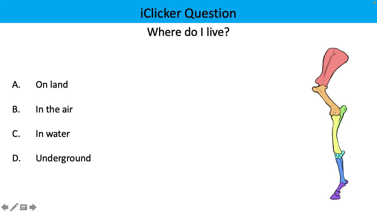 <p>Where do I live?</p>