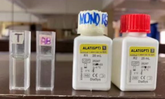 <p>Answer the ff:</p><ol><li><p>Method/Author</p></li><li><p>Category of Estimation</p></li><li><p>Mode of Measurement</p></li><li><p>Substrate</p></li><li><p>End Color/Product</p></li><li><p>Wavelength</p></li><li><p>Reaction time</p></li><li><p>Lower-Upper limit</p></li></ol><p></p>