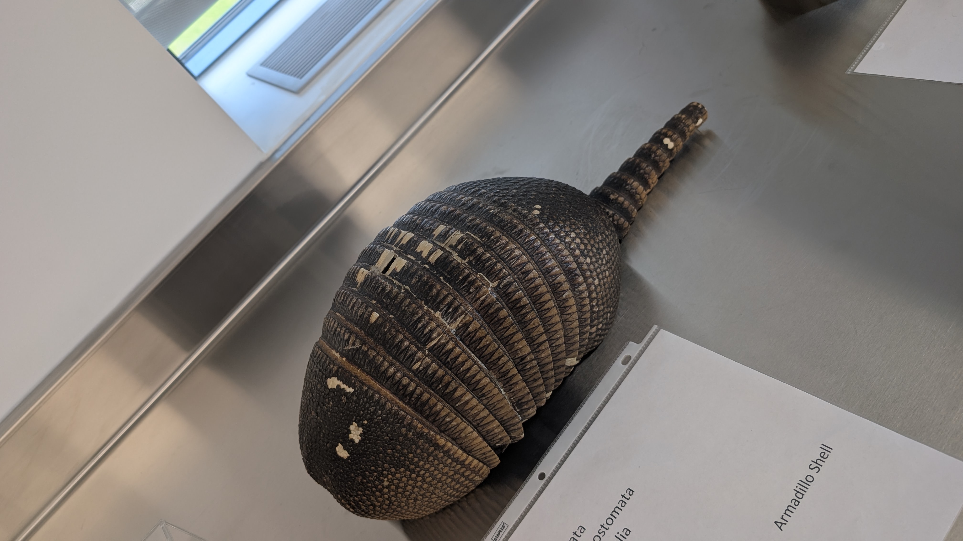 <p>Identify</p>
