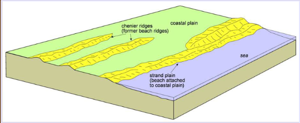 <p>Low-lying areas adjacent to seas. Include continental processes as well as marine flooding events </p>