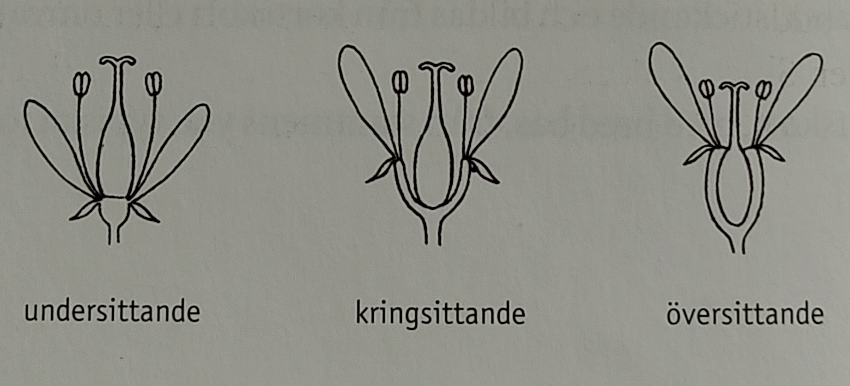 <p></p>
