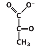 <p>What structure is this?</p>