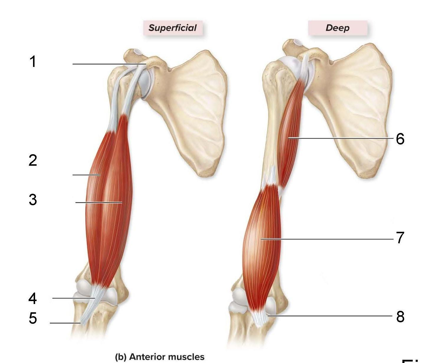 <p>What is identified in the photo 2,3,6,7</p>