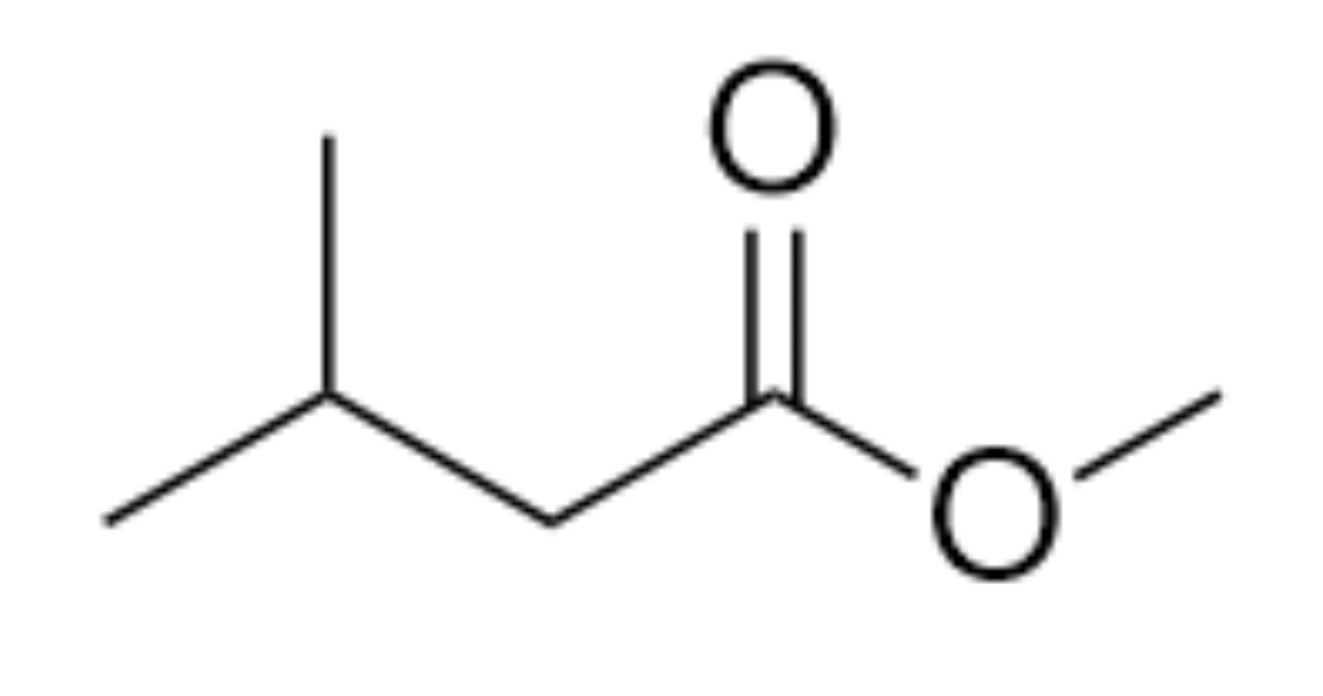 <p>What is the name of the organic functional group present in this molecule?</p>