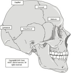 <p>Name Joint type</p>