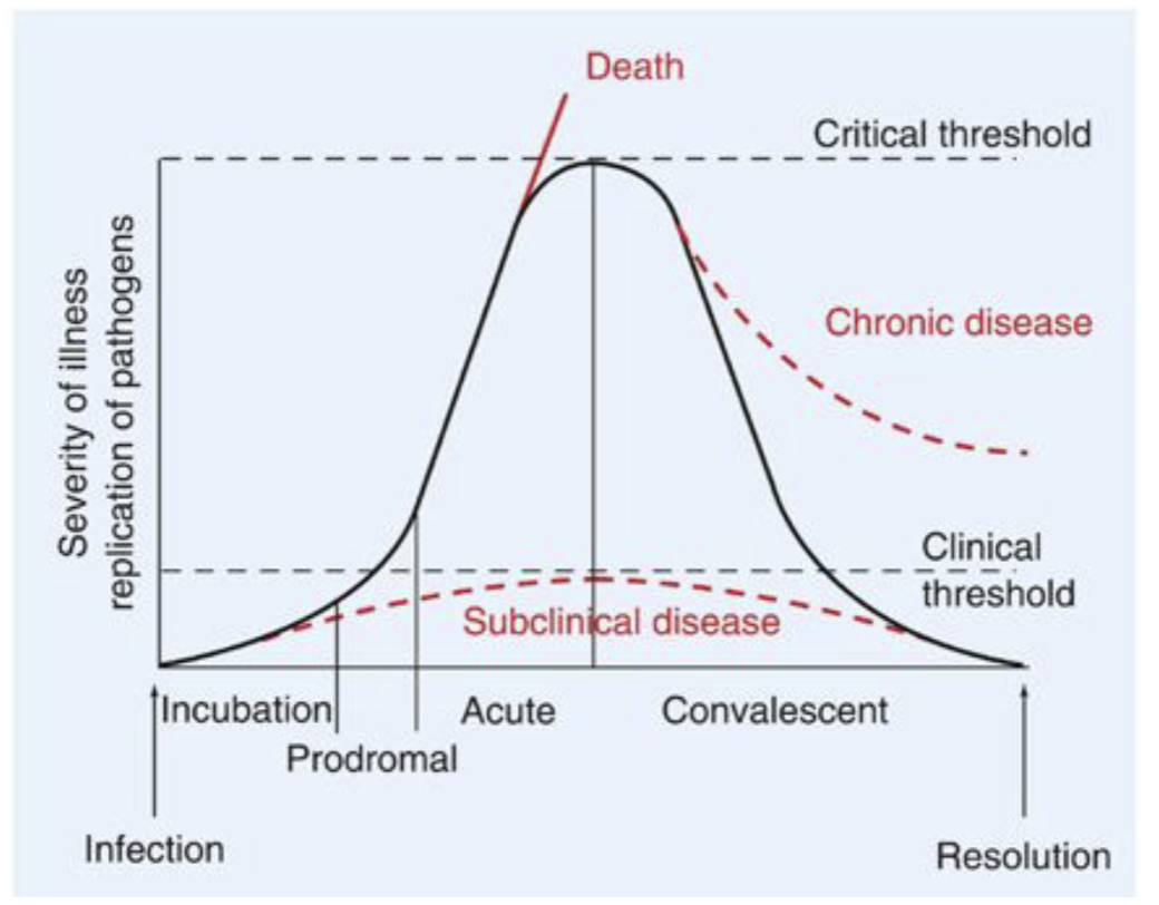 <p>Incubation period</p>