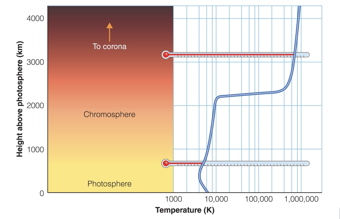 <p>The associated picture shows the Sun’s change in temperature with elevation into the Sun’s atmospheric layers. The region from 10,000-70,000 K is known as the _____.</p><p>a. photosphere</p><p>b. chromosphere</p><p>c. corona</p><p>d. transition zone</p>