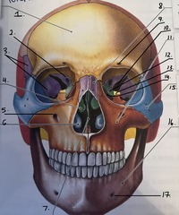<p>What is 1.</p>