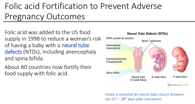 <p>neural tube defects (NTDs) </p><ul><li><p>including anencephaly and spina bifida.</p></li></ul><p></p>