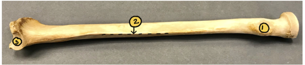 <p>1</p>
