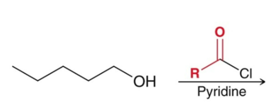 <p>acid chloride + alcohol</p>