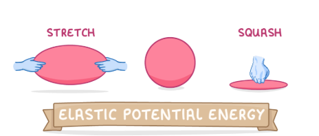 <ul><li><p>Energy stored in an object when it is stretched or squashed</p></li><li><p>Work is done when a forces stretches or compresses an object and causes energy to be transferred</p><ul><li><p>If it is elastically deformed - ALL this energy is transferred to objects elastic potential energy store</p></li></ul></li></ul><p></p>