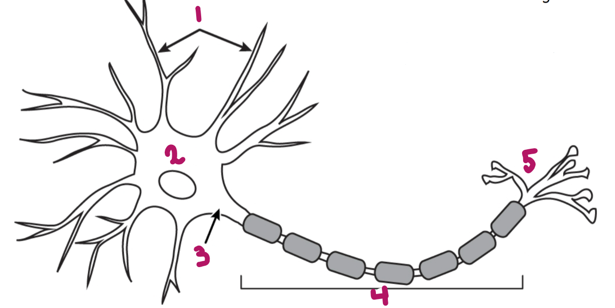<p>2</p>