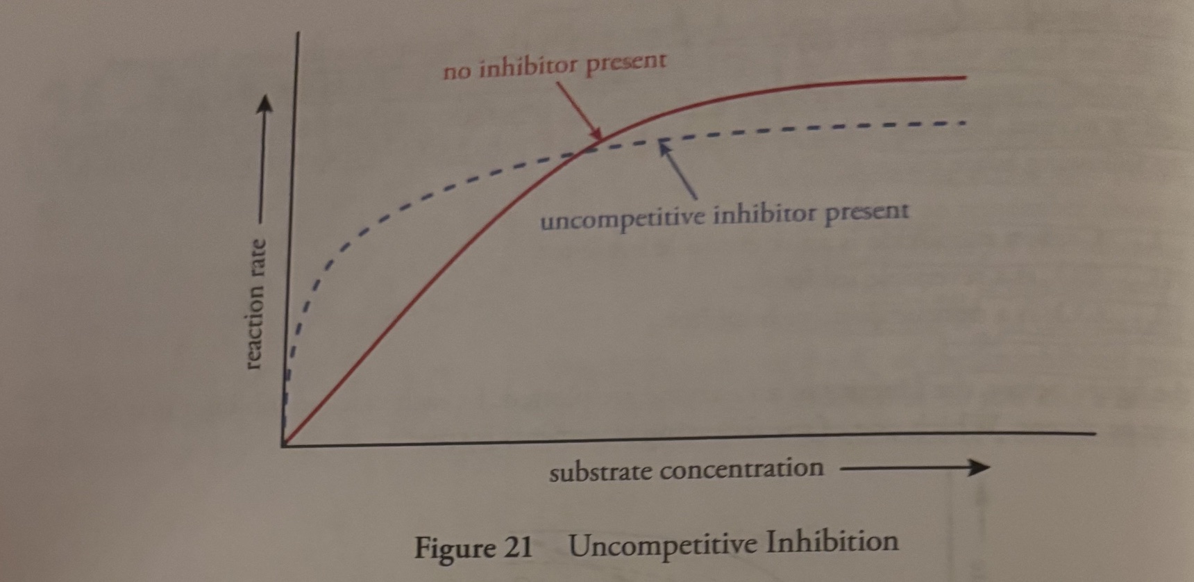 <p><u>Uncompetitive Inhibition</u></p><p>-the inhibitor binds to the enzyme-substrate complex</p><p>-<strong>Km decreases </strong>because the inhibitor binds exclusively to the enzyme-substrate (ES) complex, the enzyme gains a higher affinity for the substrate and the Km decreases.</p><p>-<strong>Vmax </strong>decreases because the inhibitor binds exclusively to the enzyme-substrate complex (ES), rather than free enzyme, inhibiting the release of products</p>