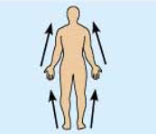<p>- (proximity near/close)</p><p>- Closer to point of attachment of limb</p>
