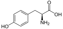 <p>Tyrosine</p><p>1 Letter: Y</p><p>3 Letters: Tyr</p><p>Non-charged Polar</p><p>Aromatic</p>