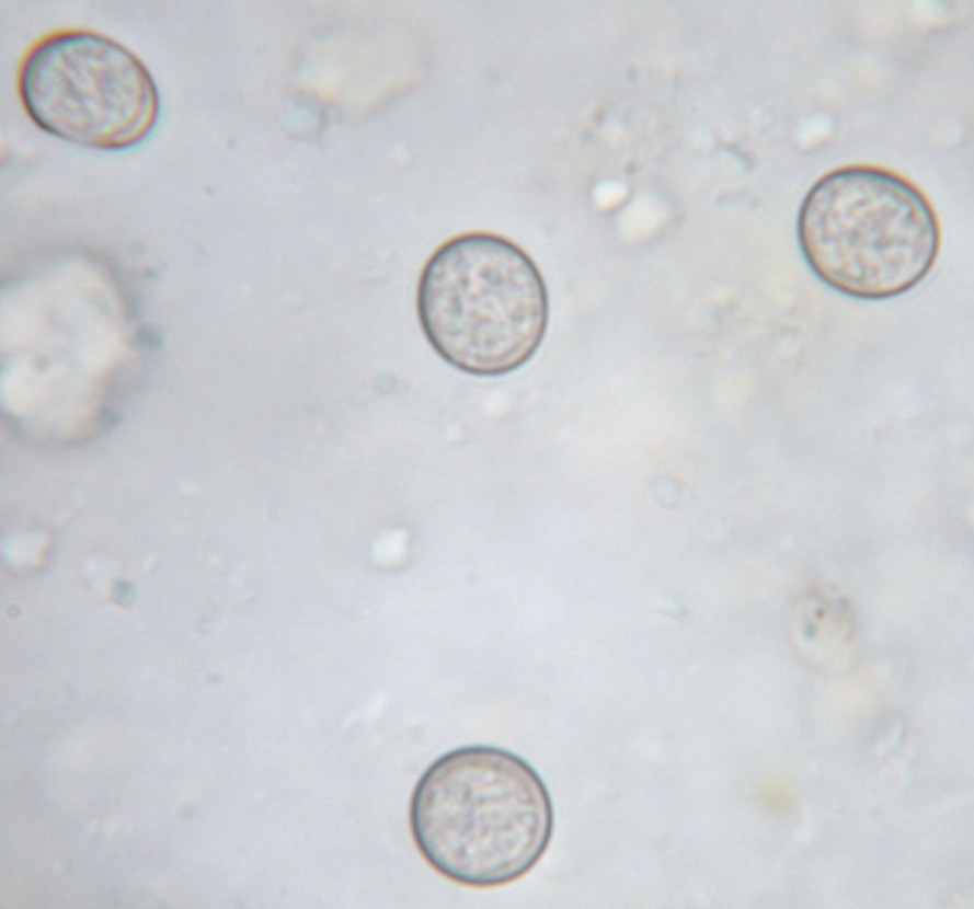 <p>What is this?</p>