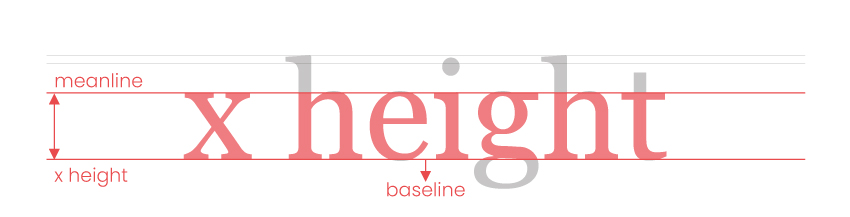 <p>distance between baseline and midline (height of letter “x”)</p>