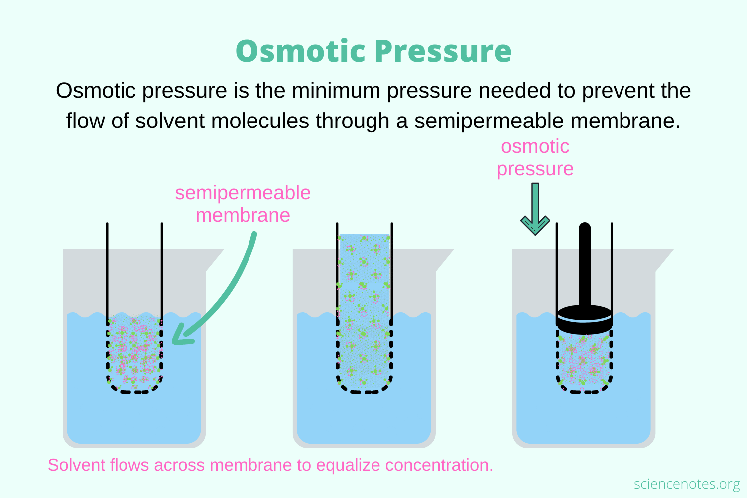 <p><span style="background-color: transparent;">The exact amount of physical pressure required to completely stop osmosis</span></p>