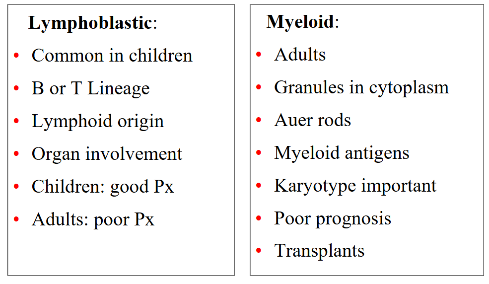 <p>Summary: ALL vs AML</p>